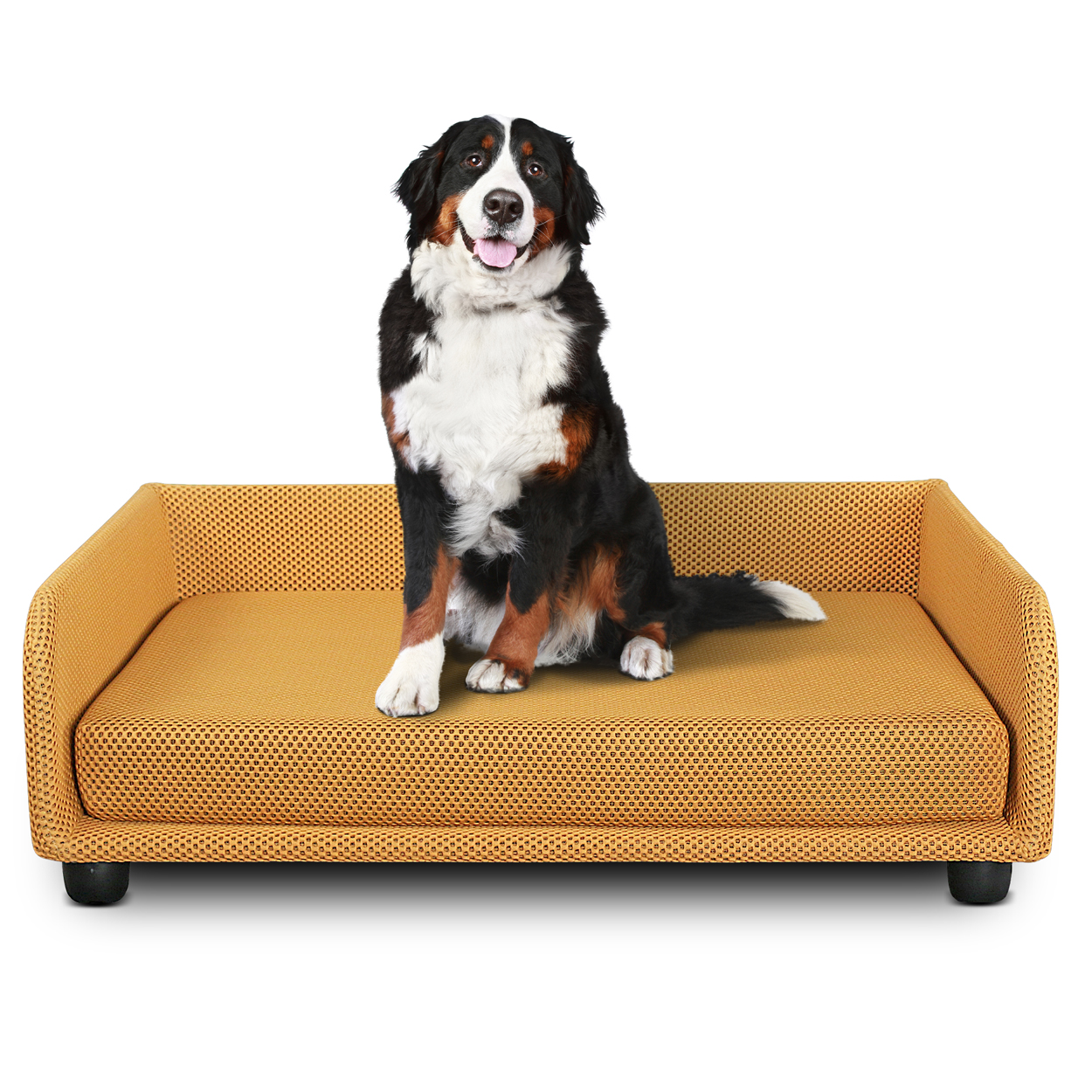 Lit pour chien - Canapé-lit King Dog Home - 9