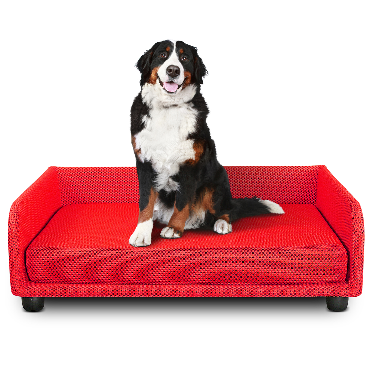 Lit pour chien - Canapé-lit King Dog Home - 8