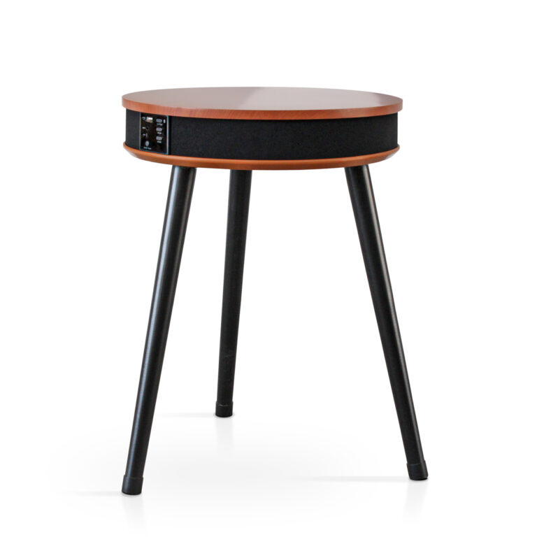 Table Enceinte Bluetooth, Basse Portable avec Chargeur USB